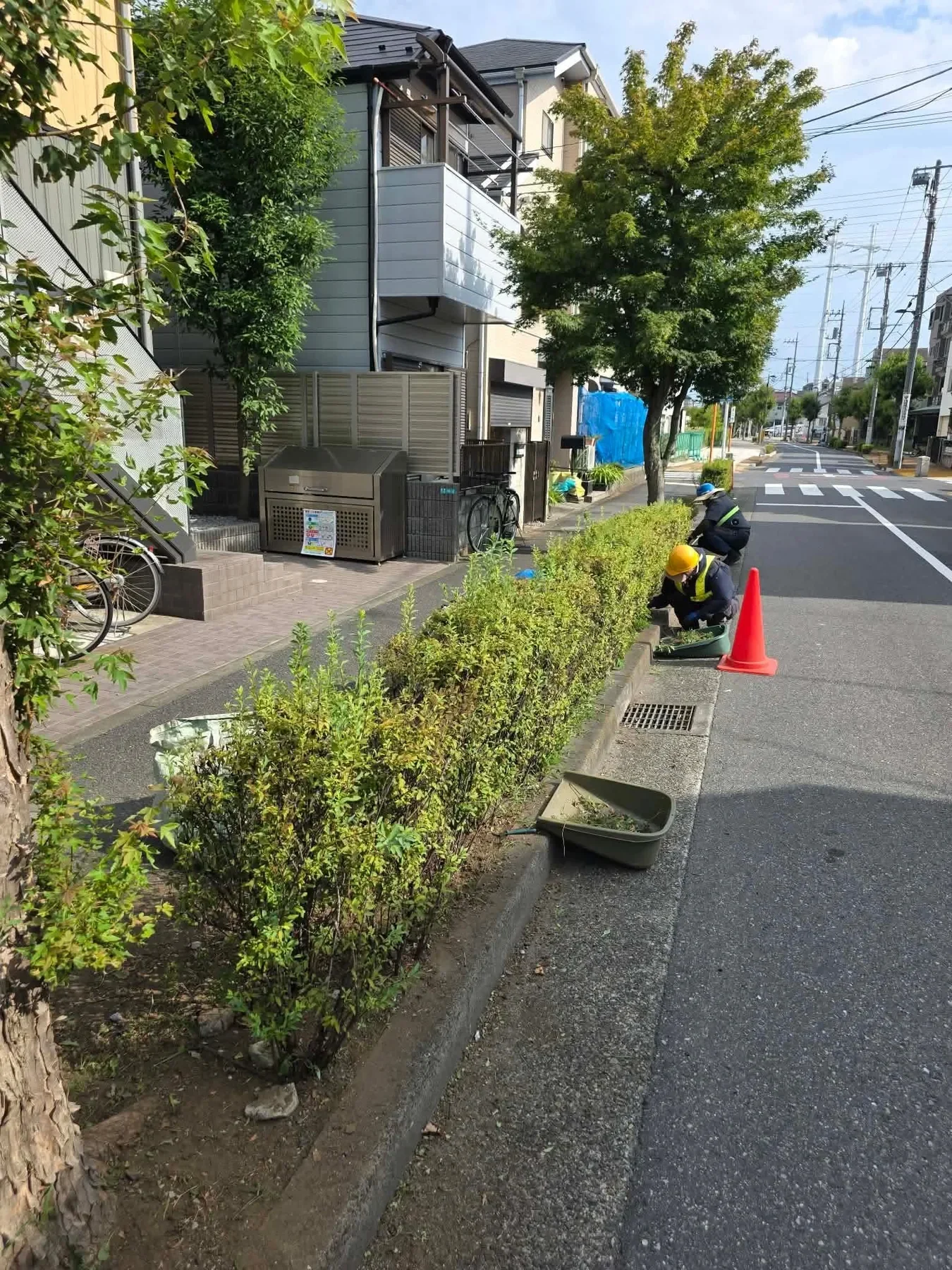 道路沿いの植栽を手入れしている様子
